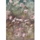 Behang Expresse Floral Utopia vlies anyagú zöld, rózsaszín színű növényes, madaras romantikus tapéta