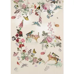  Behang Expresse Sofie & Junar vlies anyagú beige, rózsaszín, piros, sárga, kék, zöld, barna színű pillangós, virágos, állatos, madaras gyerek poszter