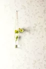 Khroma Lotus vlies anyagú fehér, beige színű növényes natural, modern tapéta