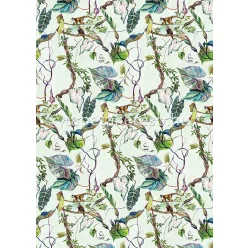   Behang Expresse Select D vlies anyagú fehér, barna, zöld, lila, kék színű állatos, madaras modern tapéta