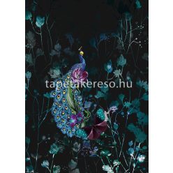   Behang Expresse Select D vlies anyagú fekete, kék, zöld, lila, sárga színű madaras, pillangós, növényes modern tapéta