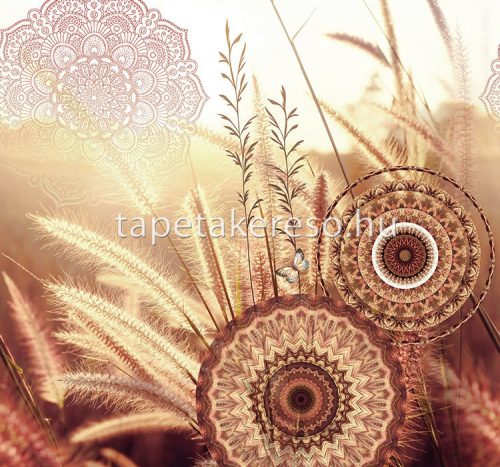 Behang Express Circle of Life vlies anyagú barna, beige színű mandala romantikus tapéta