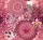 Behang Express Circle of Life vlies anyagú pink, rózsaszín színű mandala, virágos romantikus tapéta
