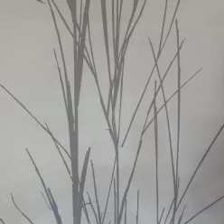   Noordwand, vlies fehér, szürke színű, ágas modern, világos árnyalatú, tapéta
