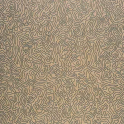   Casamance, vlies barna, szürke színű, vonalas, absztrakt modern, közép árnyalatú, tapéta